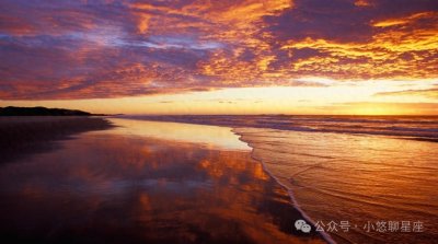 四象星座分类：风象、火象、水象、土象 揭开这四象星座的神秘面纱